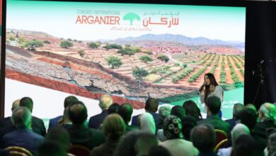 الأركان.. رهان المغرب لتعزيز التنوع البيولوجي والتنمية المحلية