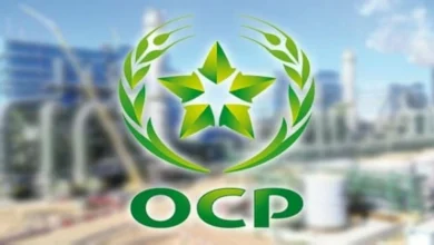 تراجع رقم معاملات "OCP" إلى 20,1 مليار درهم بداية 2026