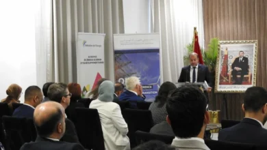 استثمار 180 مليار درهم لدعم استقرار الشبكة ودمج الطاقات المتجددة بالمغرب