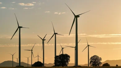 شراكة مغربية إماراتية لتطوير مشروع محطة ريحية بقدرة 104 ميغاواط بالعيون