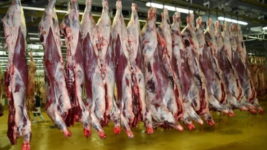 ارتفاع جديد في أسعار اللحوم الحمراء بأسواق الدار البيضاء