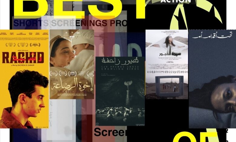 مهرجان مراكش للفيلم القصير يختتم جولته بعرض في باريس