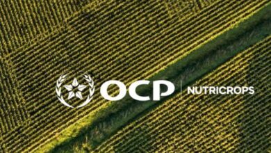 الطلب العالمي يدفع OCP Nutricrops لزيادة الإنتاج