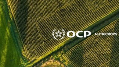 مجموعة OCP تجدد اتفاقها مع بنغلاديش لتزويدها بالأسمدة