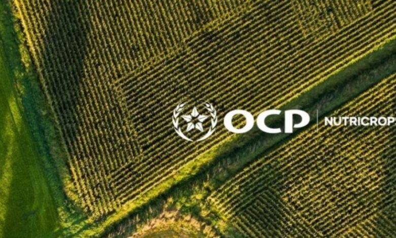 مجموعة OCP تجدد اتفاقها مع بنغلاديش لتزويدها بالأسمدة