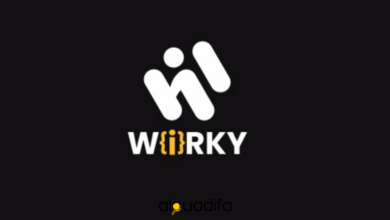 عثمان كزوز ينضم إلى مساهمي WIRKY Group لدعم مرحلة للنمو