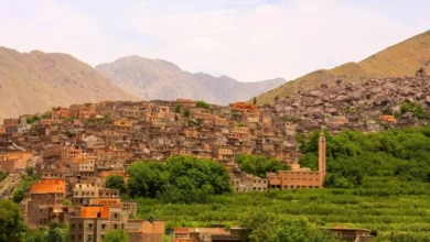 إطلاق برنامج تقني لرفع نجاعة التنمية القروية بالمغرب