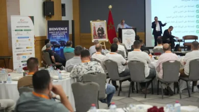 مهنيون يطالبون بتسريع إصلاحات النقل السياحي ورفع تنافسيته