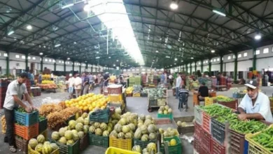 تراجع أسعار الخضر بالجملة في الدار البيضاء والطماطم تقود الانخفاضات