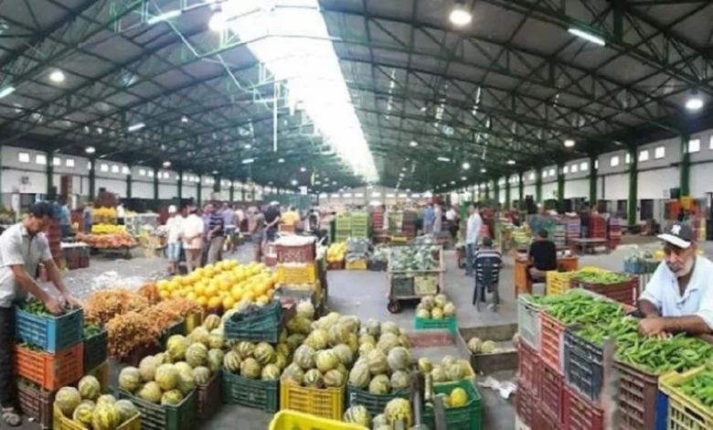 تراجع أسعار الخضر بالجملة في الدار البيضاء والطماطم تقود الانخفاضات