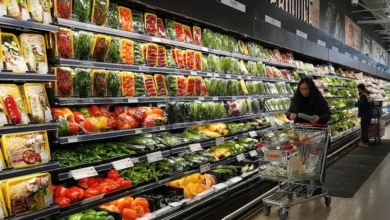 الفاو: تراجع طفيف في أسعار الغذاء العالمية خلال ماي