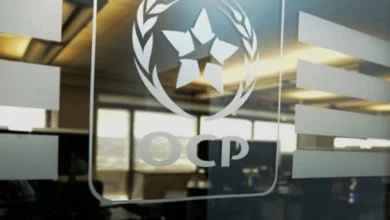 تمويل دولي لمشروع تثمين الفوسفوجيبس بالجرف الأصفر