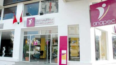 المصادقة على قانون لإدماج غير الحاصلين على الشهادات في برامج التشغيل