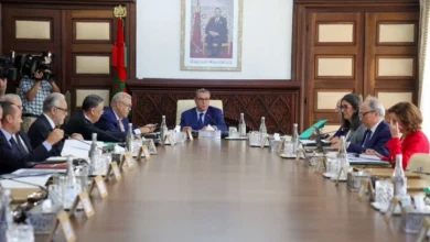 مجلس الحكومة يعين مسؤولين جدد في الصناعة والثقافة والاستثمار