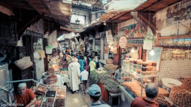 الطلب الداخلي يقود نمو الاقتصاد المغربي بـ6.9 نقاط