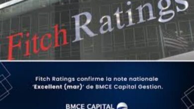 وكالة "فيتش" تؤكد تصنيف BMCE Capital Gestion عند "ممتاز"