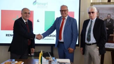 شراكة مغربية إيطالية لتعزيز الاستثمار في الصناعات الغذائية