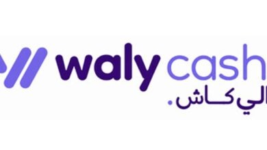 "والي كاش".. الهوية الجديدة لـWafR لدعم رقمنة الخدمات المالية للقرب