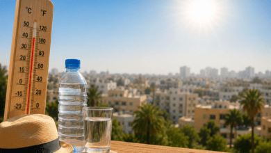هذه توصيات وزارة الصحة لمواجهة موجة الحر