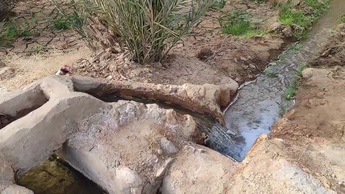 مشروع جديد يعيد إحياء الخطارات بتقنيات الذكاء الاصطناعي