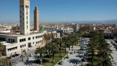 المقاولات الصغيرة تهيمن على اقتصاد جهة الشرق بنسبة 96%