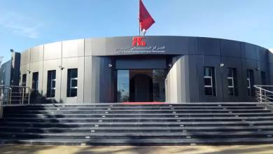 المركز السينمائي المغربي يدعم مشاريع روائية ووثائقية جديدة