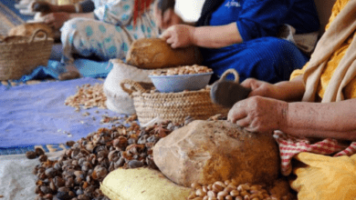 4.93 ملايين درهم لدعم التعاونيات المتضررة من زلزال الحوز