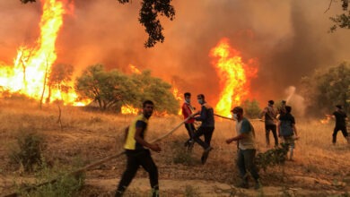 السيطرة على معظم حرائق الغابات بعد تضرر 628 هكتارًا بالمغرب
