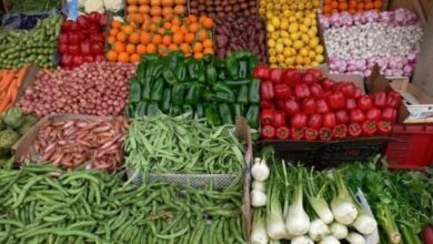 صادرات الغذاء الفلاحي المغربي تتجاوز 86 مليار درهم في 2025