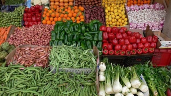 صادرات الغذاء الفلاحي المغربي تتجاوز 86 مليار درهم في 2025