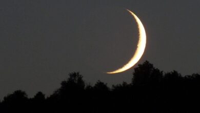 وزارة الأوقاف تعلن موعد ذكرى المولد النبوي
