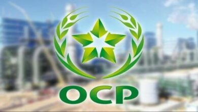 ارتفاع تكلفة الكبريت يضغط على نتائج OCP خلال النصف الأول من 2026
