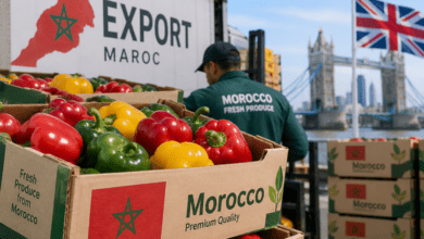 صادرات الفلفل المغربي إلى بريطانيا تقفز بـ60%