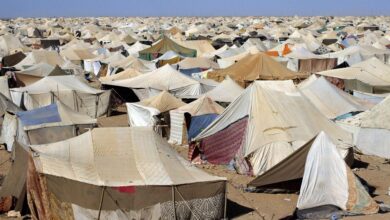 دعوة أممية لحماية ضحايا الاتجار بالبشر في مخيمات تندوف