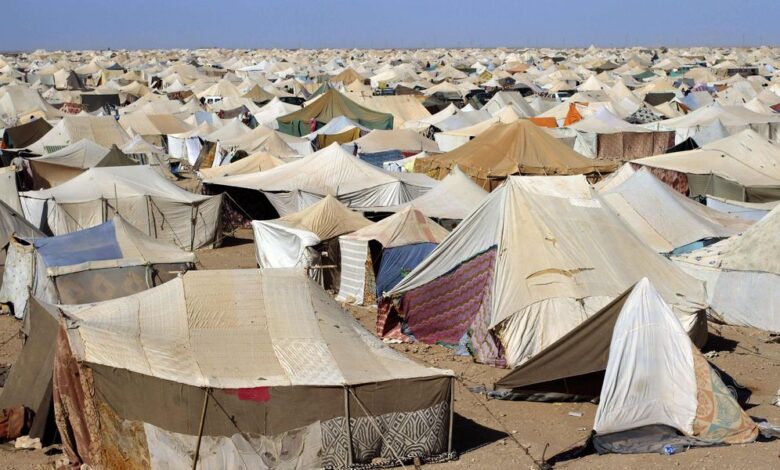 دعوة أممية لحماية ضحايا الاتجار بالبشر في مخيمات تندوف