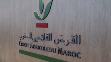 القرض الفلاحي للمغرب يرفع تمويلاته بأكثر من 20%