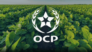 مجموعة OCP تستعد لشراكة أمريكية في قطاع الأسمدة