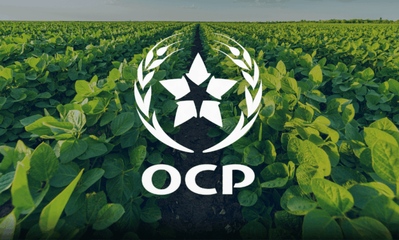 مجموعة OCP تستعد لشراكة أمريكية في قطاع الأسمدة