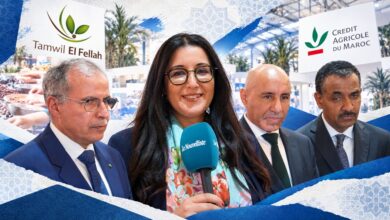 القرض الفلاحي يوسع تمويلاته لدعم منتجي التمور بالمغرب