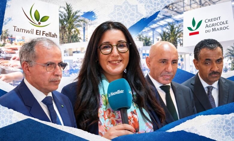 القرض الفلاحي يوسع تمويلاته لدعم منتجي التمور بالمغرب