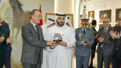 حضور إماراتي يجمع الخيل والموسيقى والإبداع بالجديدة