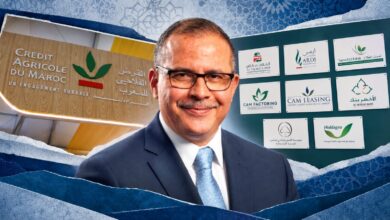 القرض الفلاحي يوسع تمويلاته لدعم منتجي التمور بالمغرب