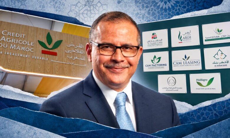القرض الفلاحي يوسع تمويلاته لدعم منتجي التمور بالمغرب