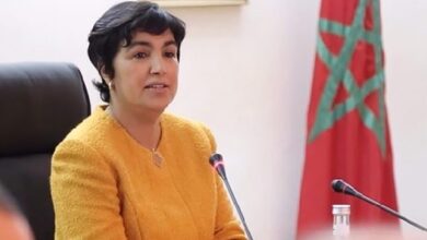 زينب العدوي تدعو إلى تعزيز الدور الاستباقي للافتحاص العمومي