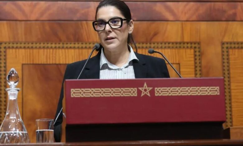 من تجريم الإثراء غير المشروع إلى رفع تمويل الجهات.. أبرز تعهدات المنصوري