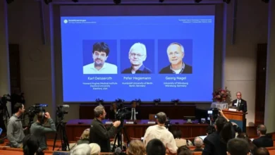 أبحاث غيّرت فهم الدماغ تتوج 3 علماء بجائرة نوبل للطب 2026